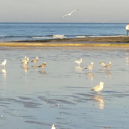 Апартаменты Les 3 Mouettes A - Cote Normande *